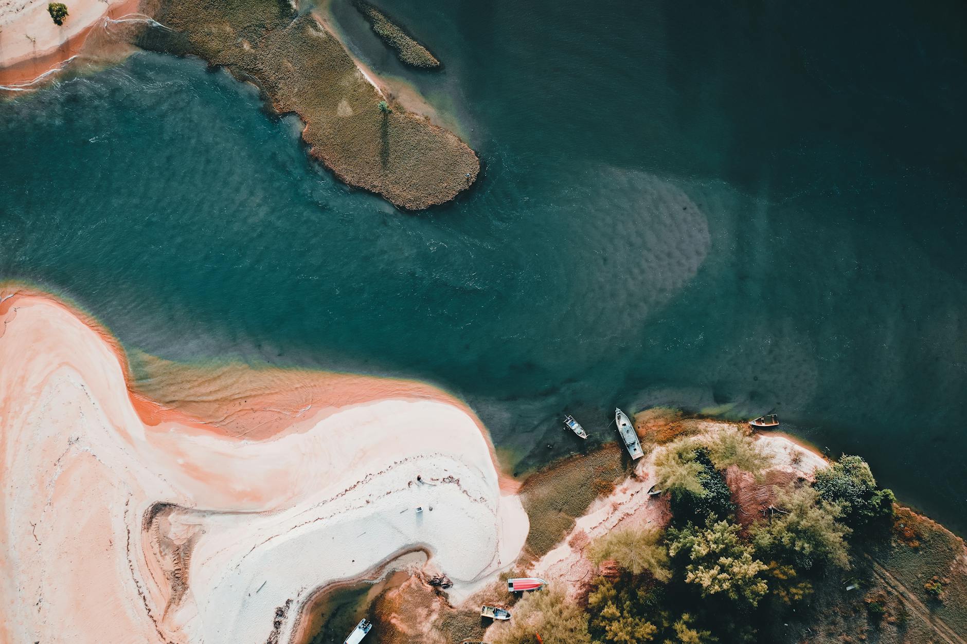 Dzika, zalesiona linia brzegowa rzeki z cumującymi łódkami