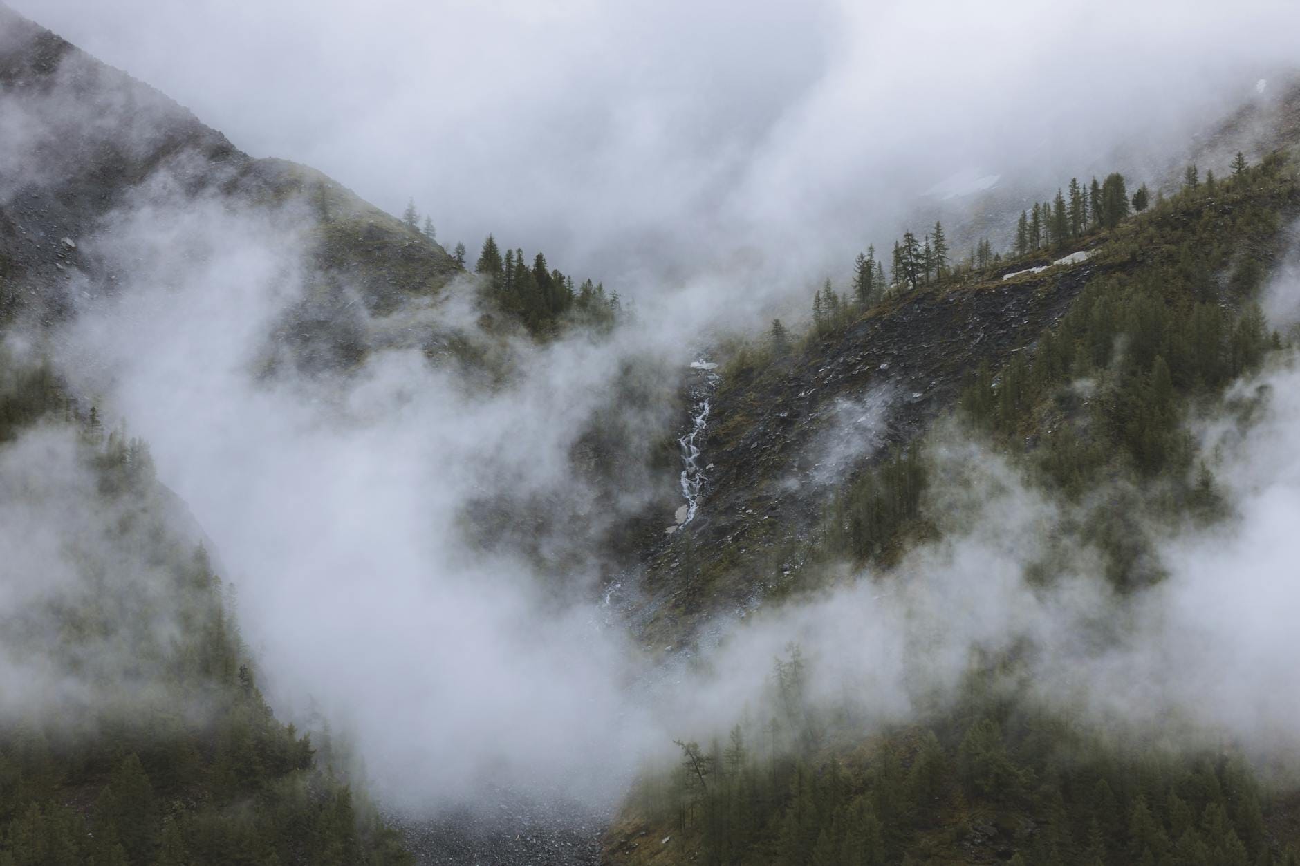 Mglista górska dolina z lasem i potokiem w chmurach Podkarpacia