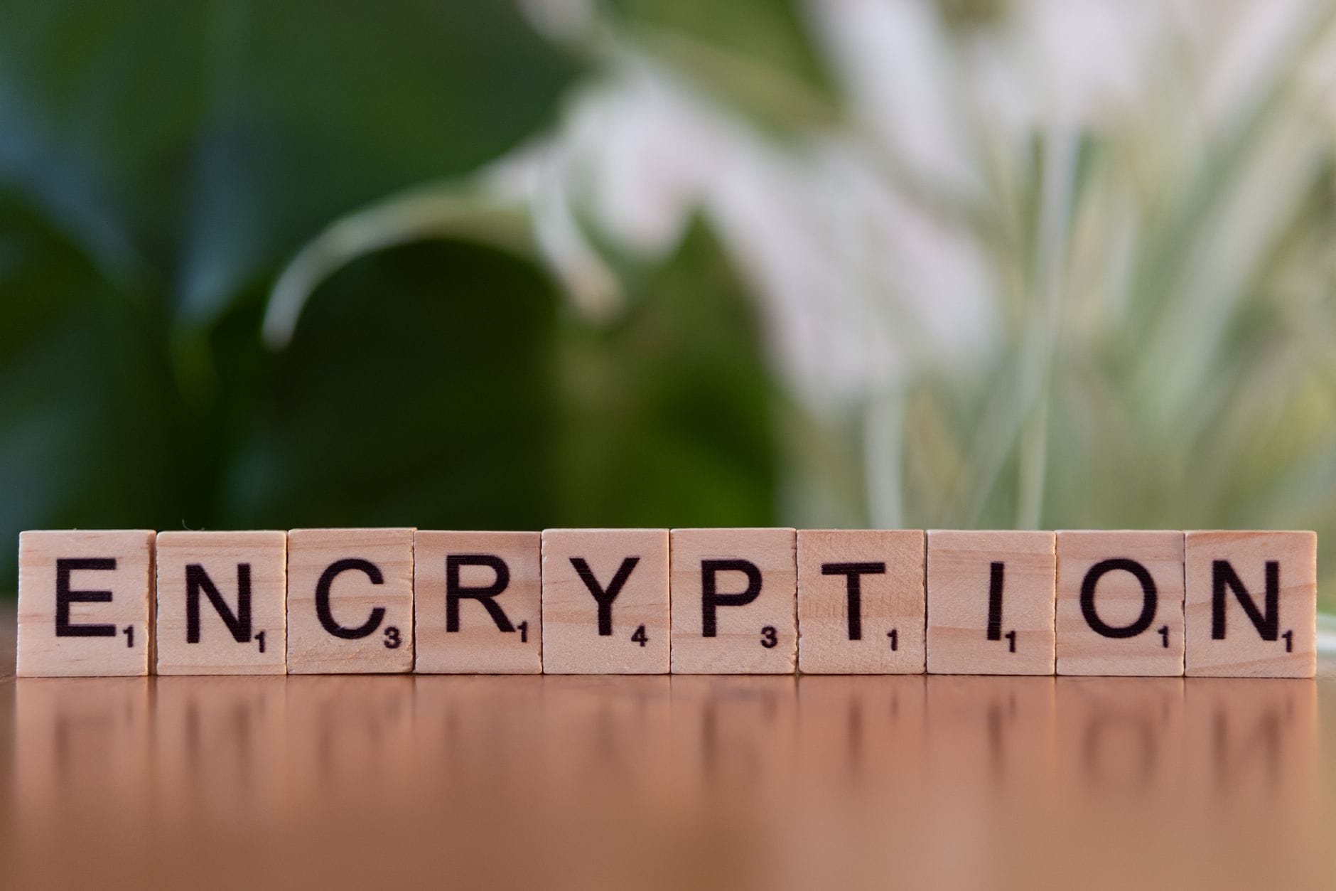 Drewniane klocki z napisem encryption symbolizujące ochronę danych