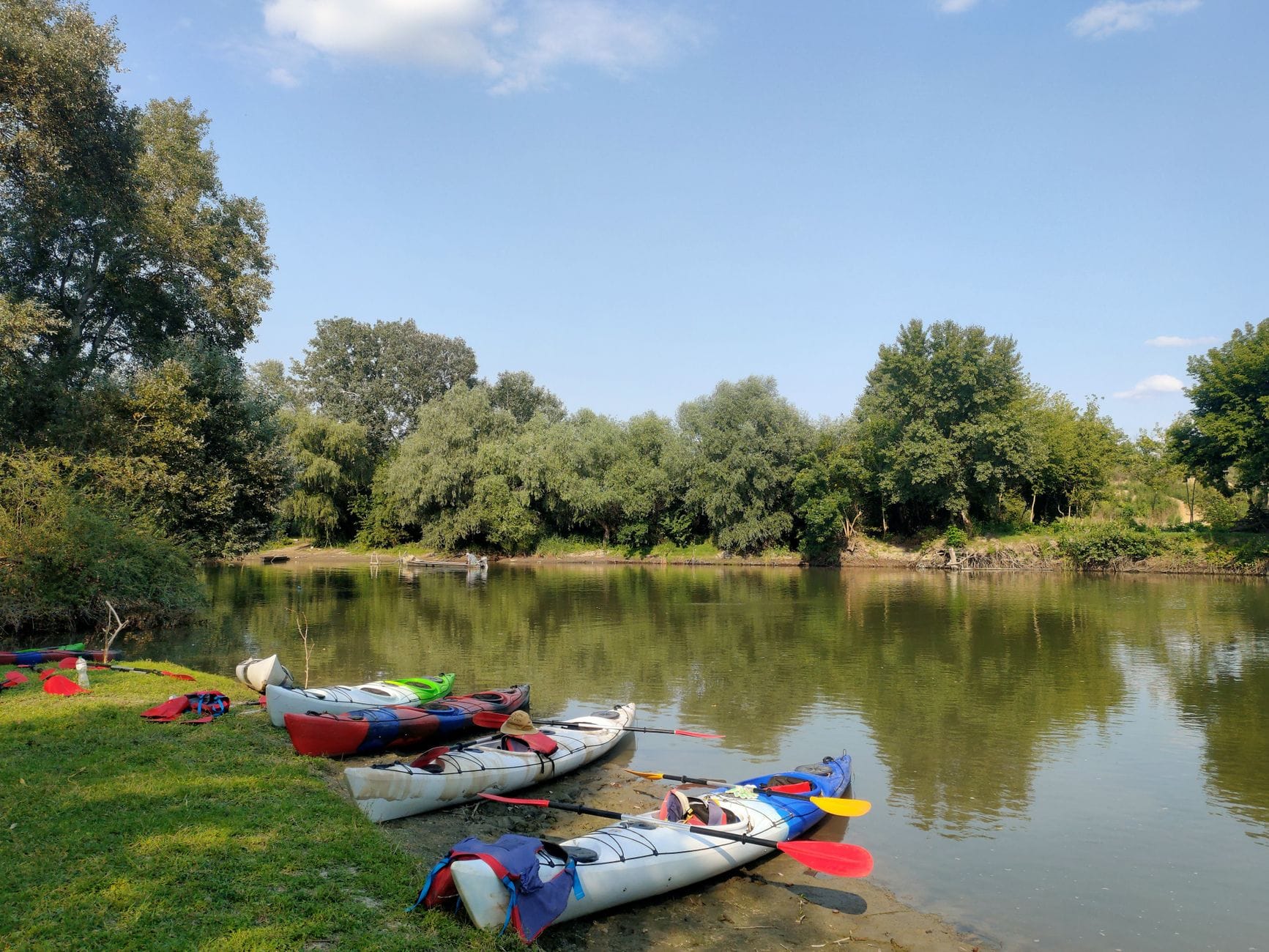 Kolorowe kajaki na spokojnej rzece otoczone zielenią w słoneczny dzień